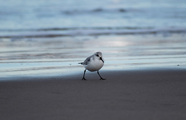 满眼秋是什么意思