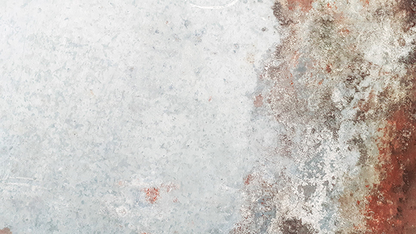 幼儿园自我介绍怎么写